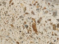 Dscf0615  Native stone mixed in with the concrete