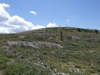 DSCF0529