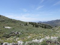 DSCF0531