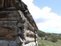 Dscf0535