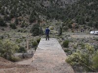 DSC 4209