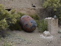 DSC 4230