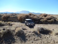 DSCN1701  Waiting patiently in the ravine