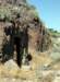 rockpoint_020_small.jpg